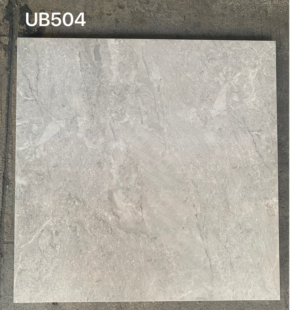 Gạch lát nền Viglacera 50x50 UB504