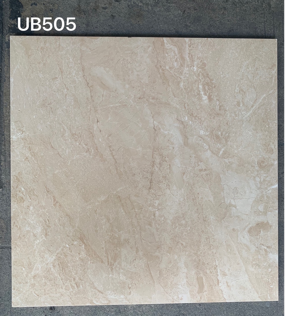 Gạch lát nền Viglacera 50x50 UB505