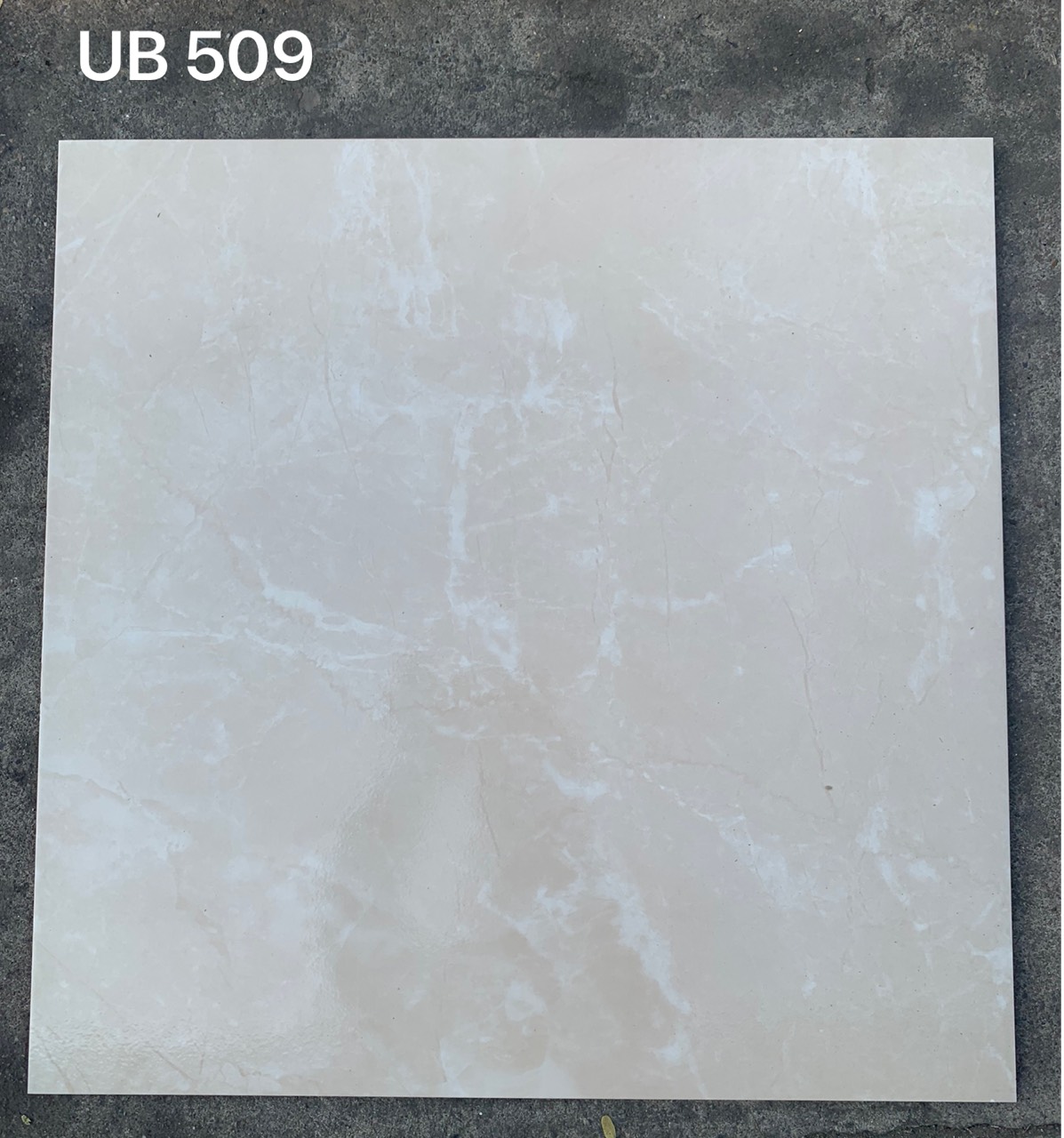 Gạch lát nền Viglacera 50x50 UB509